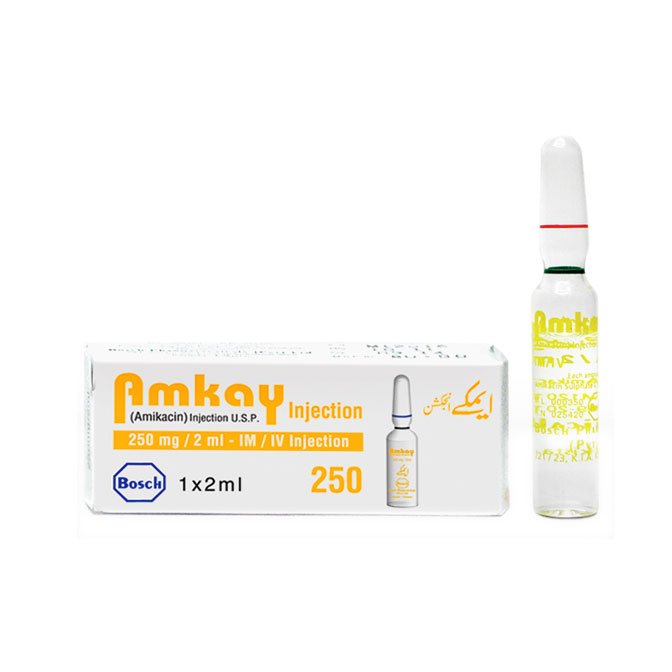 Amkay Injection 250 mg 1 Ampx2 mL