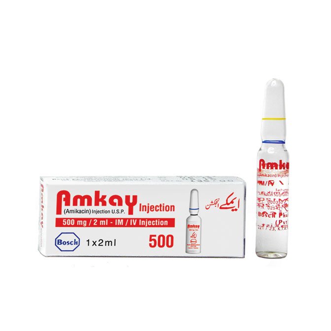 Amkay Injection 500 mg 2 mL