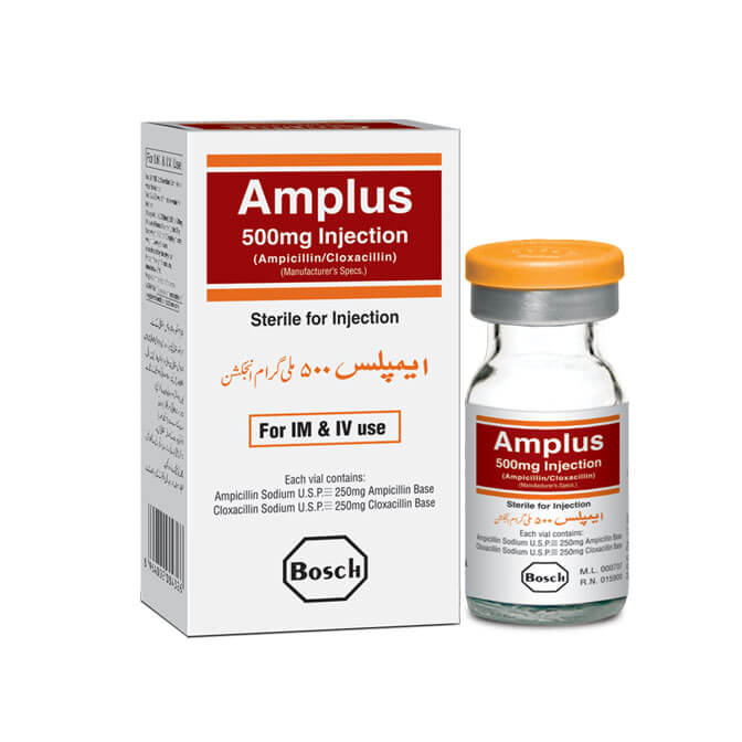 Amplus Injection 500 mg 1 Vial