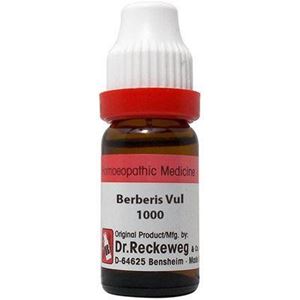 Berberis Vulgaris 1M 11ml