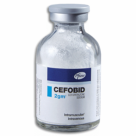 CEFOBID 2g Injection Vial