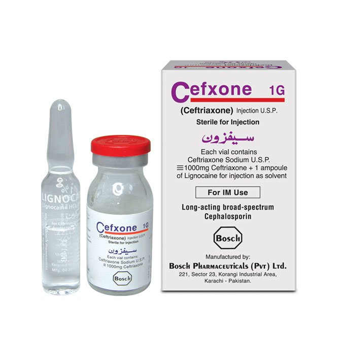 Cefxone Injection IM 1 gm 1 Vial