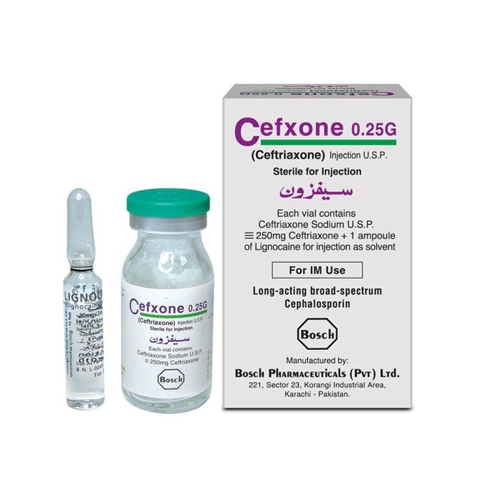 Cefxone Injection IM 250 mg 1 Vial
