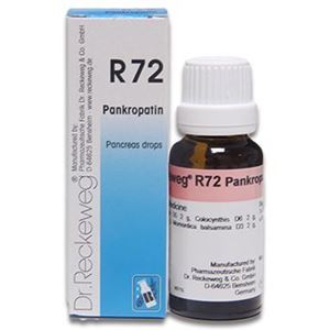 Dr. Reckeweg R 72 Pancreas Drops – 22 ML