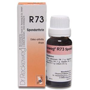 Dr. Reckeweg R 73 Drops for the Joints – 22 ML