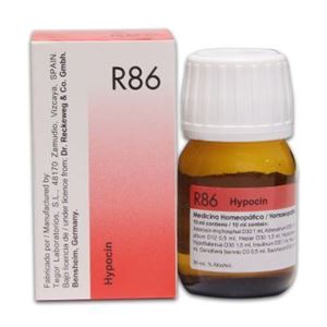 Dr. Reckeweg R 86 Low Blood Sugar Drops – 30 ML