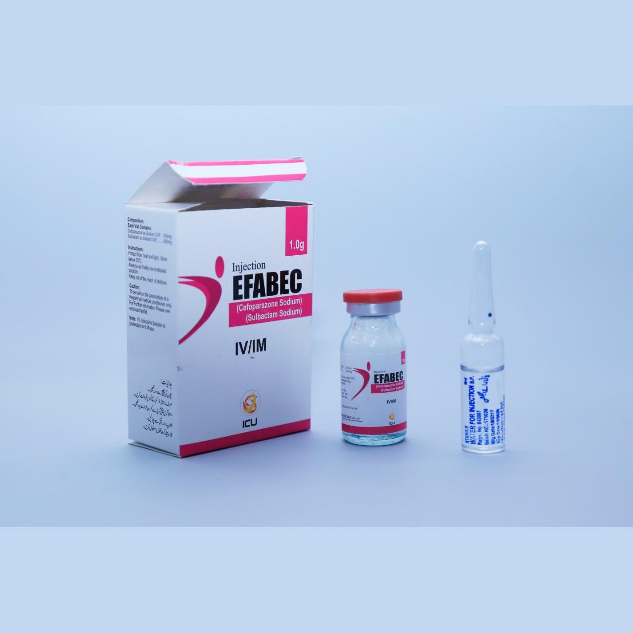 Efabec Injection 1 gm 1 Vial