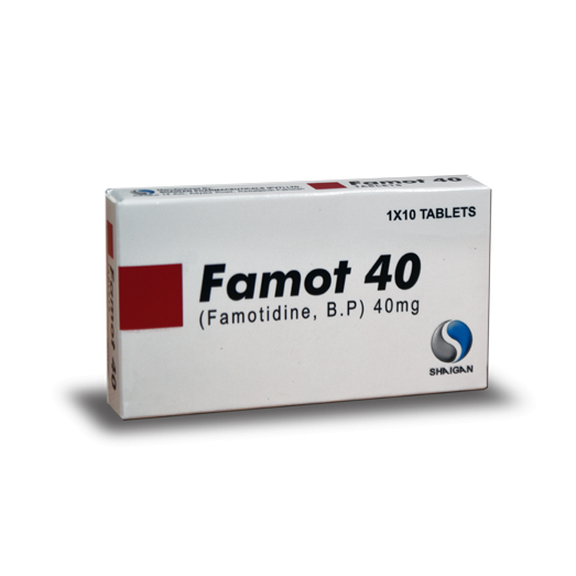 FAMOT 40mg Tablet 10s