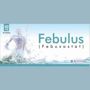 FEBULOUS 40mg Tablet 20s