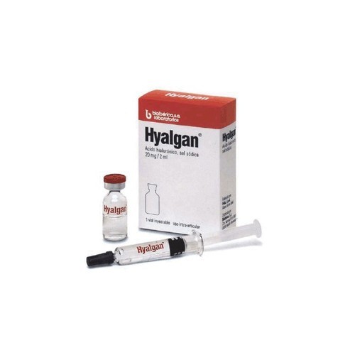 Hyalgan Injection 20mg 1 Pre Filled Syringe x 2ml