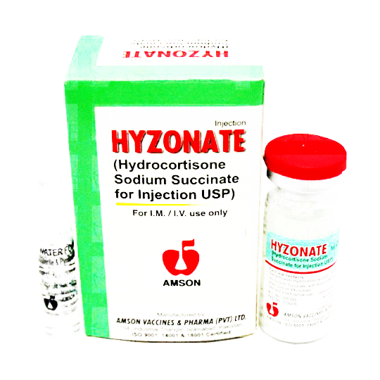 Hyzonate Injection 500 mg 1 Vial