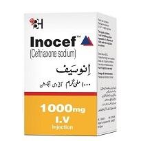 Inocef Injection IV 1 gm 1 Vial