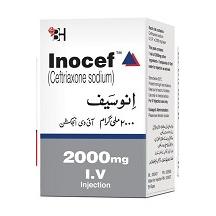 Inocef Injection IV 2 gm 1 Vial