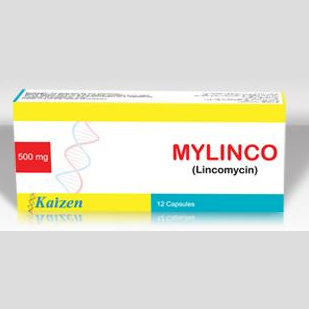 Mylinco capsule 500 mg 12’s