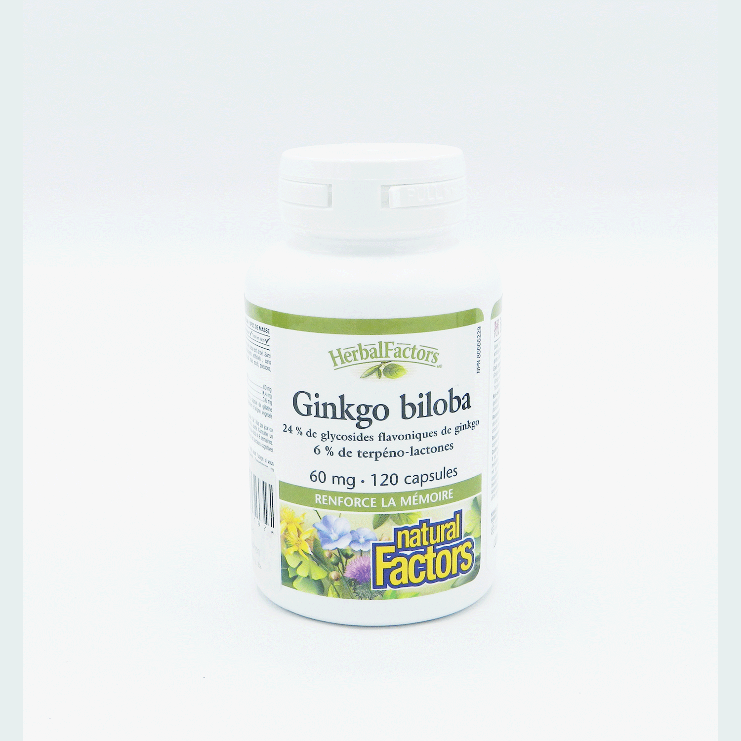New ProductGinkgo Biloba Cap 60mg 120s