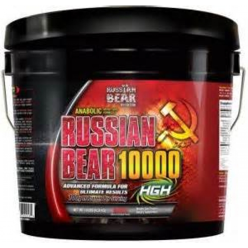 Russian Bear 10lb in Pakistan