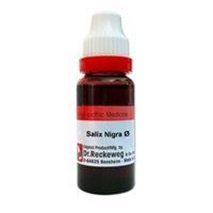 Salix Nigra Q 20 ml