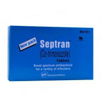 Septran tablet 80/400 mg 400’s