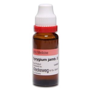 Syzygium Jamb Q 20 ml