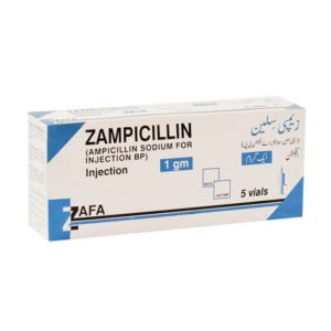 ZAMPICILLIN 1gm Injection 5s