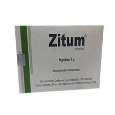Zitum Injection 1 gm 1 Vial